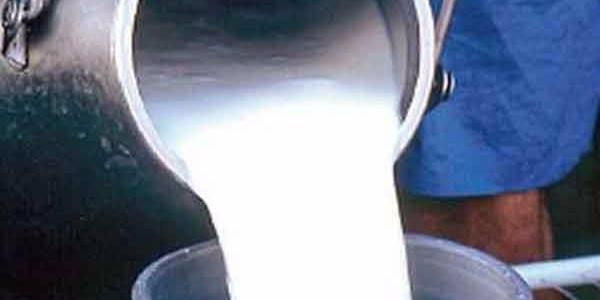 Representatives from several sectors examine ways to develop milk sector