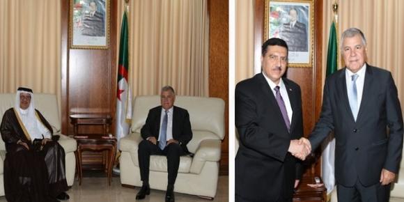 Energy Minister speaks to ambassadors of Iraq and Qatar on boosting bilateral cooperation within OPEC