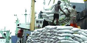 Algérie : Le riz et le café viennent en tête: L'Algérie importe pour 208 millions de dollars du Vietnam