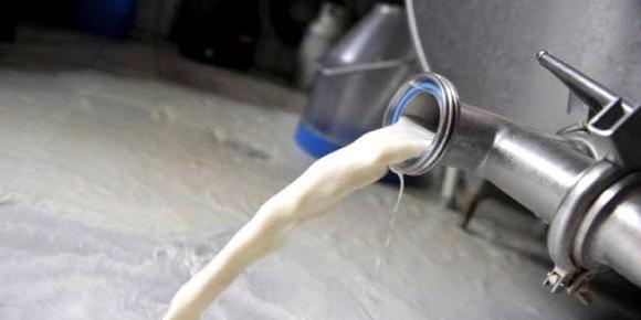 Algeria : Giplait Group’s vision should focus on development of domestic production