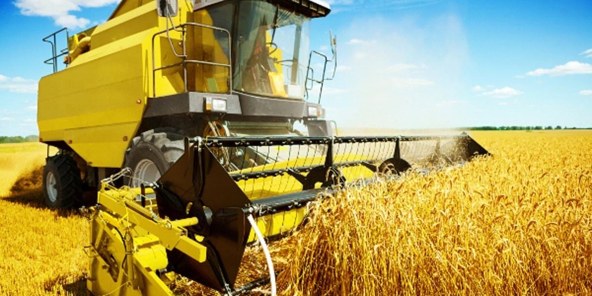 Tunisie-L’UTAP : la marginalisation de l’agriculture est une atteinte à la paix sociale
