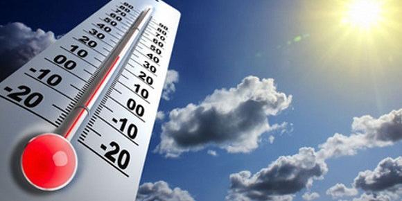 Fight against climate change: Algeria's commitment reiterated many times