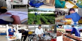 Vocational baccalaureate file to be submitted to Premier on Monday