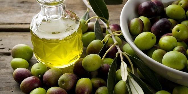 Tunisia- Expected exports of Tunisian olive oil will not exceed 63% of production (ONAGRI)