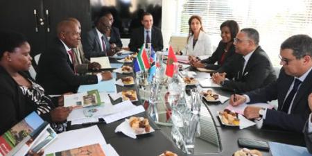 Electricity/Africa: Morocco Ready to Share its Know-how in the Framework of South-South Cooperation (Official)