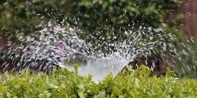 Egypt : Irrigation min. asserts importance of abiding by preventive measures against coronavirus during CWW