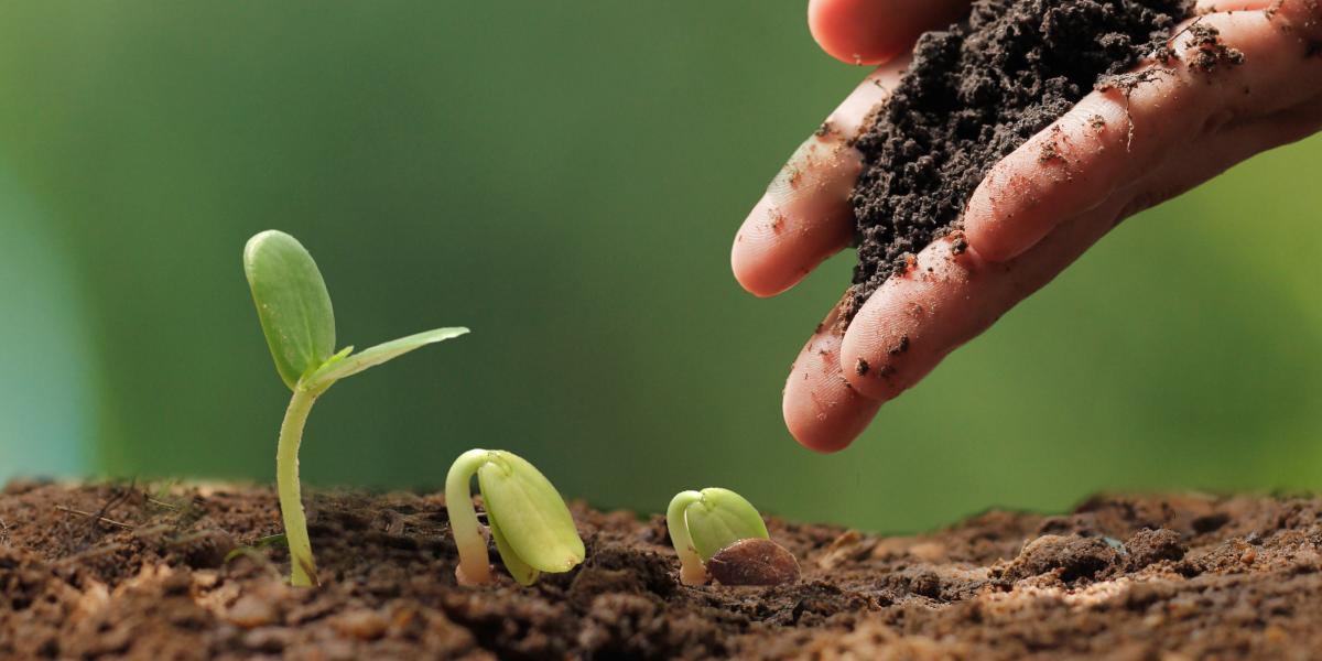 Maroc : Agroécologie au Maroc, La fondation Heinrich Böll publie un nouveau reportage