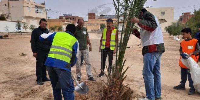 Tunisie : Année de la propreté: Aménagement et entretien d'un jardin public à Tozeur
