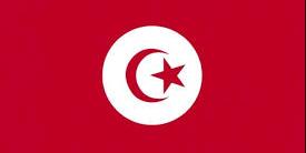 تونس: فرنسا وقطر وإيطاليا أول البلدان المستثمرة في تونس